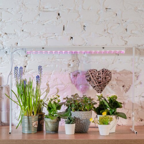 ULI-P16-10W-SPLE IP20 WHITE Светильник для растений светодиодный линейный, 570мм, выкл, на корпусе, Пластик, Спектр для фотосинтеза, TM Uniel - фото 9