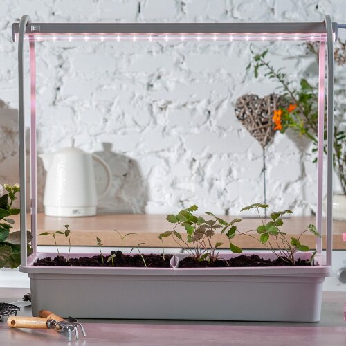 ULI-P16-10W-SPLE IP20 WHITE Светильник для растений светодиодный линейный, 570мм, выкл, на корпусе, Пластик, Спектр для фотосинтеза, TM Uniel - фото 7