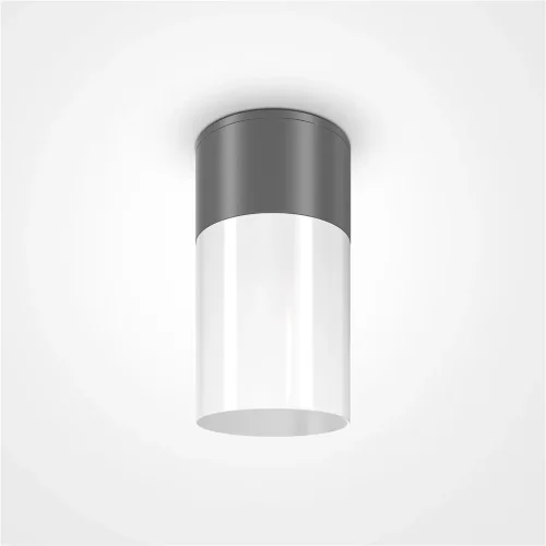 Потолочный светильник Willis E27х1 60Вт IP 54 (Графит) O418CL-01GR - фото