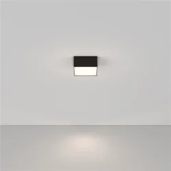 Потолочный светильник Zon 4000K 1x12Вт 120° (Черный)