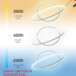 Люстра светодиодная ESTETIKA RING-95RC-2WH 95Вт 230В 3000-6500K 600/400 1.2м трос ДУ белый IN HOME