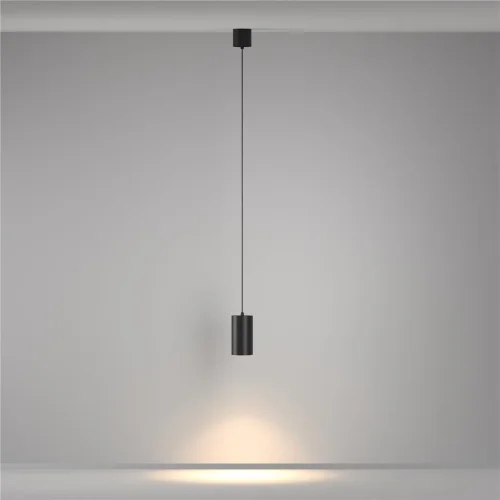 Подвесной светильник Вол / Vol 3000К 20Вт (Черный) P100PL-20W3K-B - фото 7