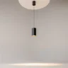 Подвесной светильник Вол / Vol 3000К 20Вт (Черный) P100PL-20W3K-B - фото 12