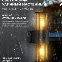 Светильник уличный настенный двусторонний НБУ SMOKY-2хA60-BL алюминиевый черный IP54 IN HOME