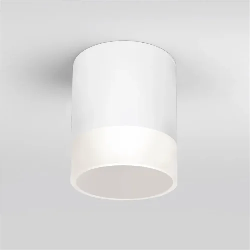 Уличный потолочный светильник Light LED 2107 IP54 35140/H белый - фото