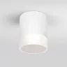Уличный потолочный светильник Light LED 2107 IP54 35140/H белый - фото