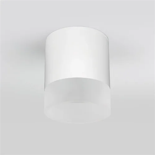 Уличный потолочный светильник Light LED 2107 IP54 35140/H белый - фото 4