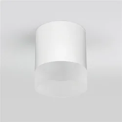 Уличный потолочный светильник Light LED 2107 IP54 35140/H белый (057160)