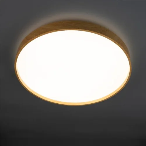 Светильник светодиодный декоративный PPB PINE 60Вт 4000К IP20 D485х75 настенно-потолочный бытовой JazzWay 5052666 - фото 6