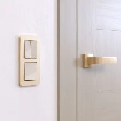 Рамка из металла на 2 поста Platinum шампань W0022611