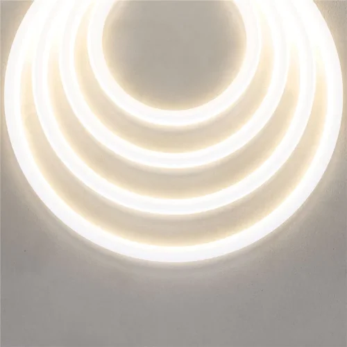 Гибкий неон D22 24В 16Вт/м 3000K IP67 5м (Белый) - фото 4