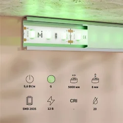 Светодиодная лента Base 12В 2835 9,6Вт/м Green 5м IP 20 201172 (Белый)