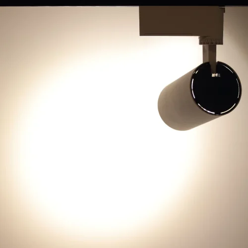 Светодиодный светильник трековый JH-GDD-A08-20W 2L PX88 (20W, 220V, day white) - фото III