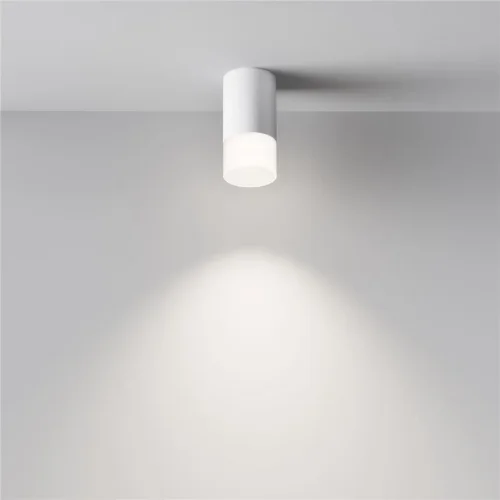 Потолочный светильник Pauline GU10 1x10Вт (Белый) - фото 4