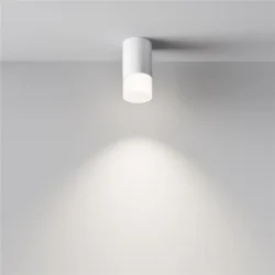 Потолочный светильник Pauline GU10 1x10Вт (Белый)