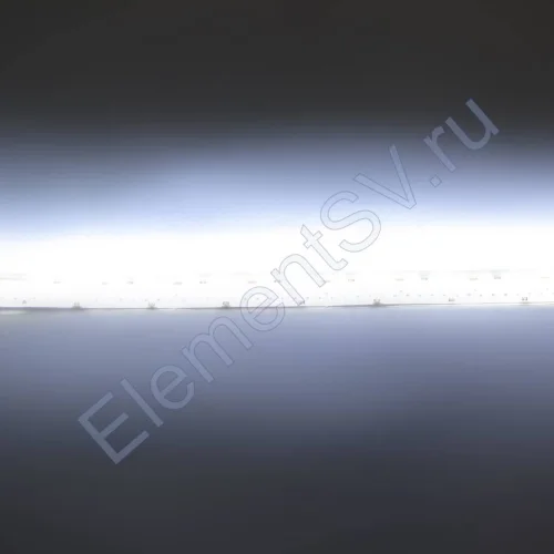 Светодиодная лента Standart PRO class, 3528, 240 led/m, White, 24V, IP65 - фото 3.