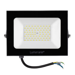 Светодиодный прожектор Luminarte LFL-100W/05 100Вт 5700К IP65