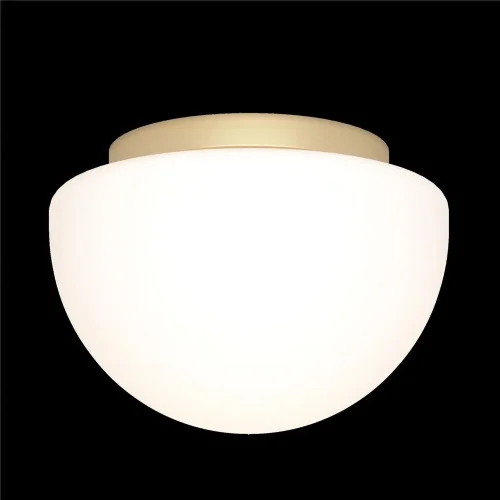 Потолочный светильник Glassy E27х1 (Золото) - фото 4