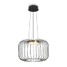 Подвесной светильник Freya FR5398PL-L8B (Черный) - фото
