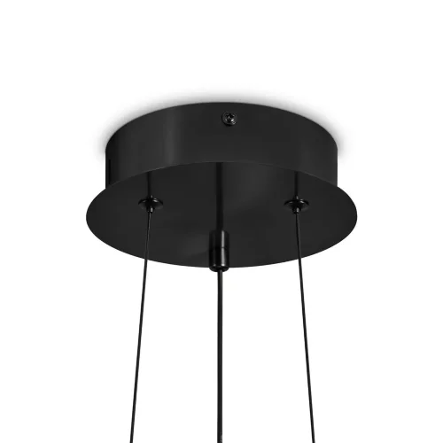 Подвесной светильник Freya FR5398PL-L8B (Черный) - фото 4