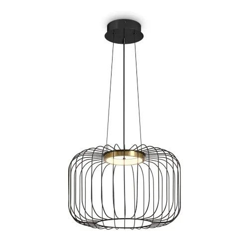 Подвесной светильник Freya FR5398PL-L8B (Черный) - фото