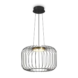 Подвесной светильник Цитрус / Citrus (Черный) FR5398PL-L8B