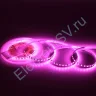 Светодиодная лента Standart Pro class, 2835, 120 led/m, 5mm, без скотча, pink, 24V, IP20, SL12 - фото.