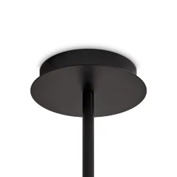 Потолочный светильник Freya FR5544CL-10B (Черный)