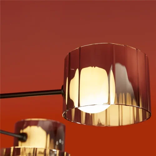 Потолочный светильник Freya FR5544CL-10B (Черный) - фото 11