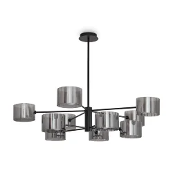 Потолочный светильник Freya FR5544CL-10B (Черный)