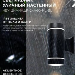 Светильник уличный настенный двусторонний НБУ ЦИЛИНДР-2хА60-NL-BL с подсветкой черный IP54 IN HOME