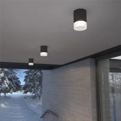 Уличный потолочный светильник Light LED 2107 IP54 35140/H черный (057159)