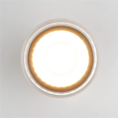 Уличный потолочный светильник Light LED 2107 IP54 35140/H черный - фото 5