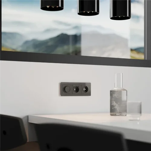 Диммер (графит акрил) W1142044 - фото 3