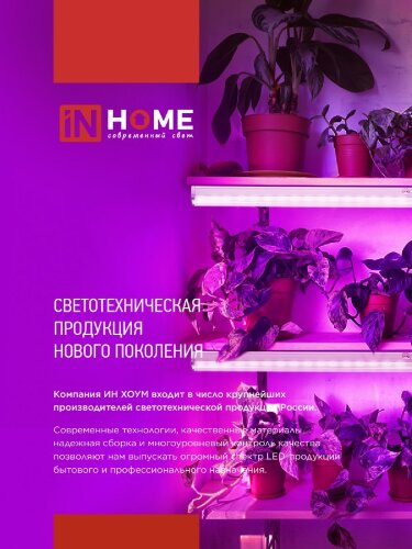 Светильник светодиодный СПБ-110 STD-ФИТО красно-синий спектр 40Вт 1200мм IP40 IN HOME - Фото 2