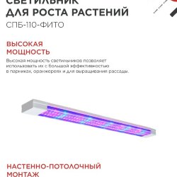 Светильник светодиодный СПБ-110 STD-ФИТО красно-синий спектр 40Вт 1200мм IP40 IN HOME