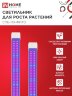 Светильник светодиодный СПБ-110 STD-ФИТО красно-синий спектр 40Вт 1200мм IP40 IN HOME - Фото 6
