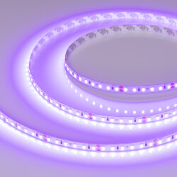 Светодиодная лента RT-А120-8mm 24V Violet (9.6 W/m, IP20, 2835, 5m) (Arlight) 043384
