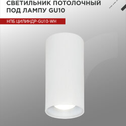 Светильник потолочный НПБ ЦИЛИНДР-GU10-WH под лампу GU10 55х100мм белый IN HOME