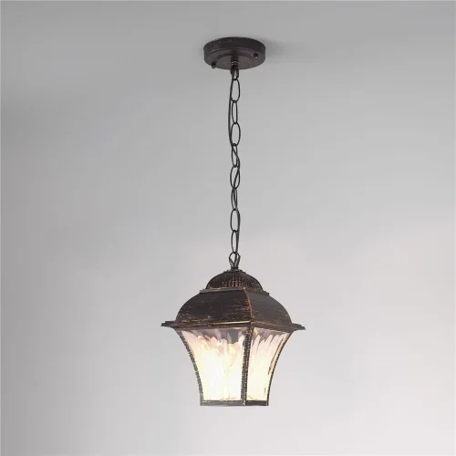 Уличный подвесной светильник Apus H черное золото IP33 GL 1009H - фото 2