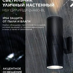 Светильник уличный настенный двусторонний НБУ ЦИЛИНДР-2хА60-BL алюминиевый черный IP54 IN HOME