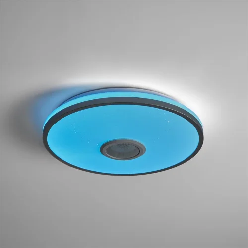 умный Потолочный светильник FR6226CL-L36W Ронд / Rond 38 Вт LED (Белый) FR6226CL-L36W - фото 5