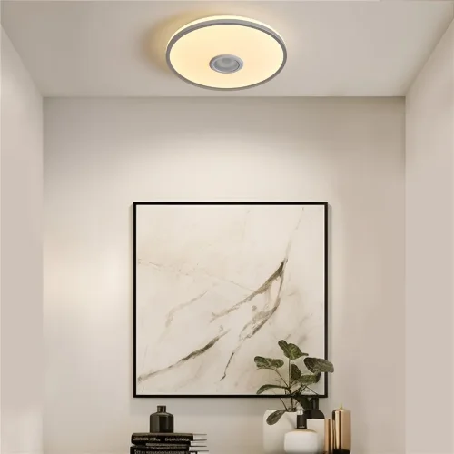 умный Потолочный светильник FR6226CL-L36W Ронд / Rond 38 Вт LED (Белый) FR6226CL-L36W - фото 9