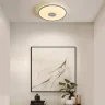 умный Потолочный светильник FR6226CL-L36W Ронд / Rond 38 Вт LED (Белый) FR6226CL-L36W - фото 9