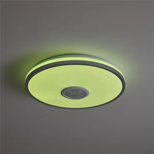 умный Потолочный светильник FR6226CL-L36W Ронд / Rond 38 Вт LED (Белый) FR6226CL-L36W - фото 12