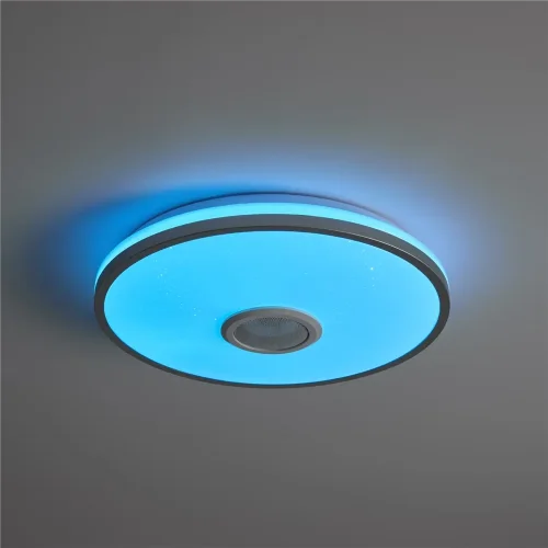 умный Потолочный светильник FR6226CL-L36W Ронд / Rond 38 Вт LED (Белый) FR6226CL-L36W - фото 13