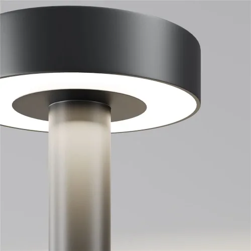 Садово-парковый светильник Nail 3000K 30Вт IP 65 (Черный) - фото 2