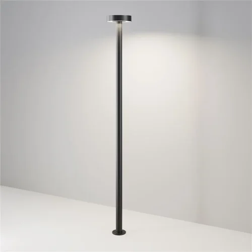 Садово-парковый светильник Nail 3000K 30Вт IP 65 (Черный) - фото 3