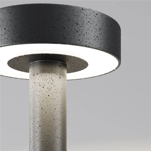 Садово-парковый светильник Nail 3000K 30Вт IP 65 (Черный) - фото 4