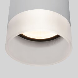 Уличный потолочный светильник Light LED 2107 IP54 35140/H серый (057161)